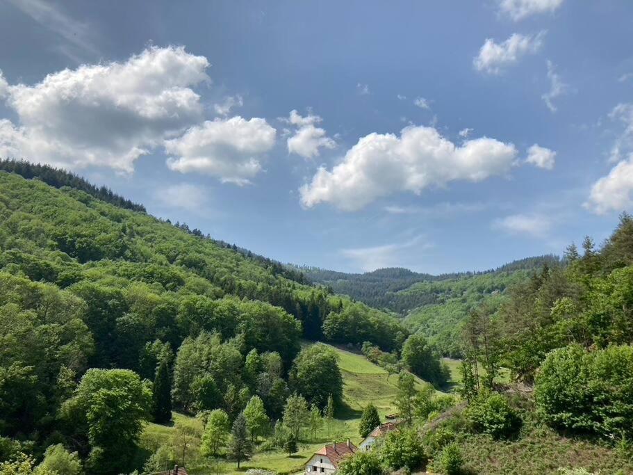 La Belle Vallee Lalaye Экстерьер фото